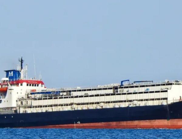 Spiridon II Hayvan Gemisinde 48 Ölü!